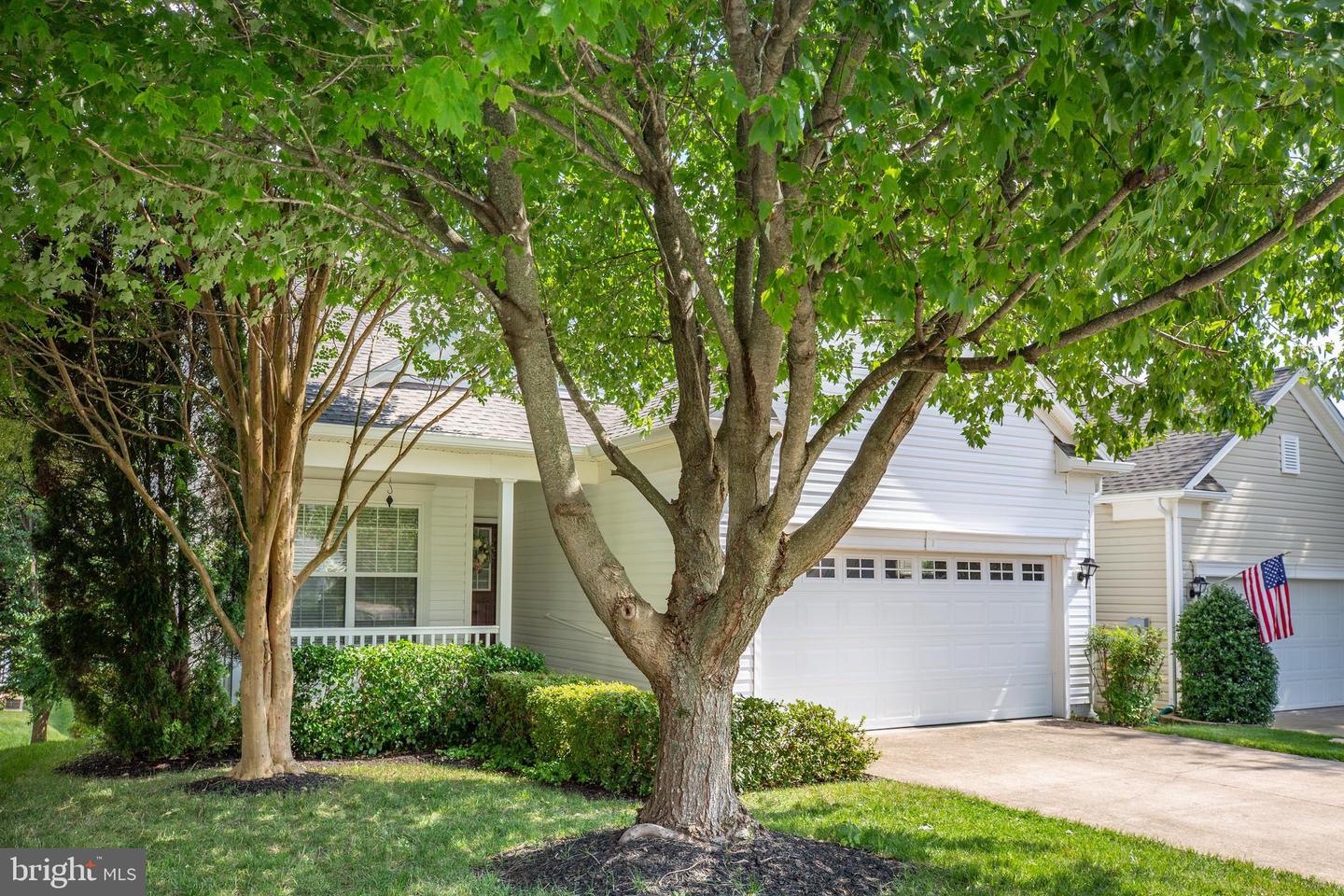 17 Buchanan COURT
