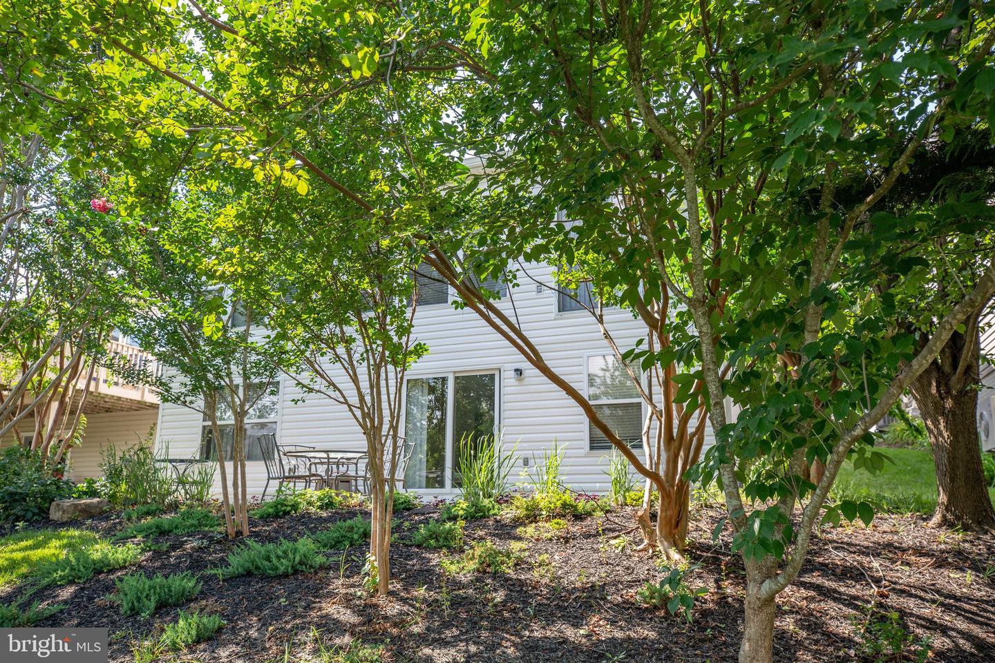 17 Buchanan COURT