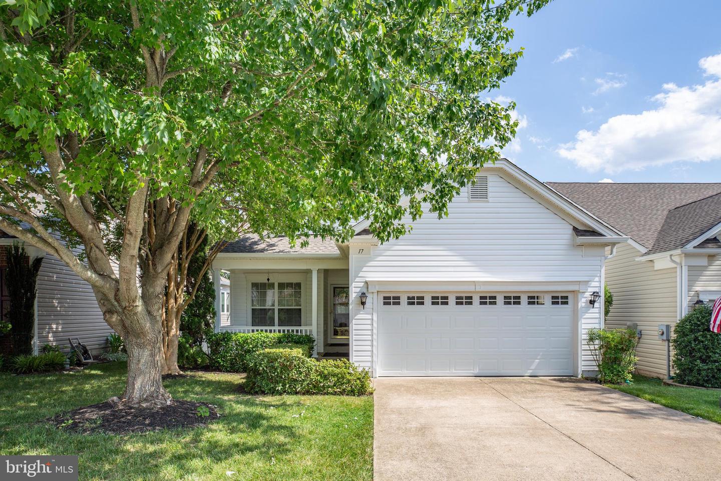 17 Buchanan COURT