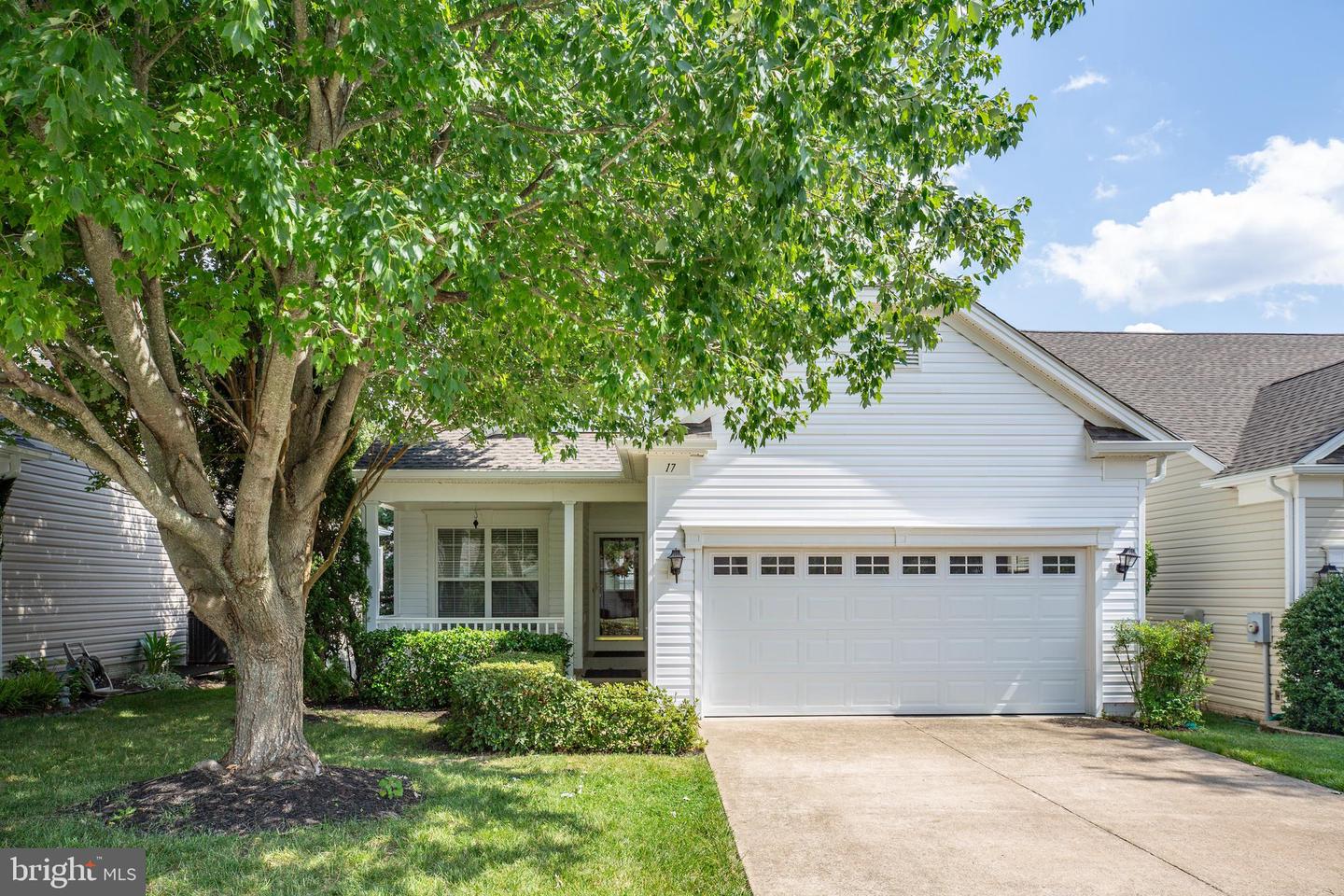 17 Buchanan COURT
