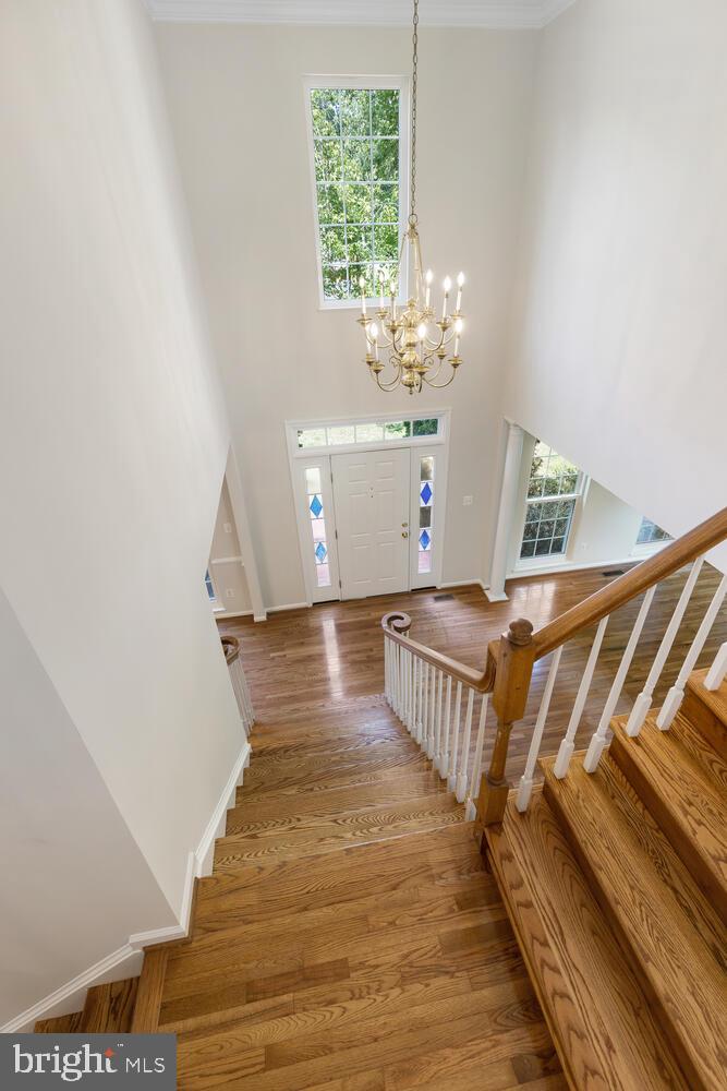 7 Walt Whitman BOULEVARD