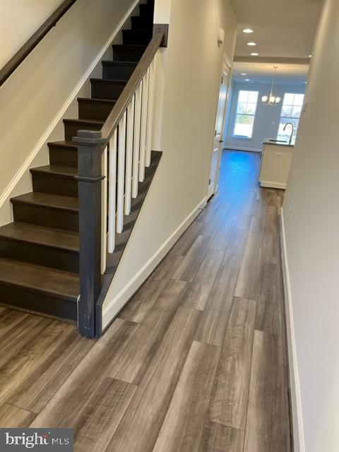 113 Smokebush DRIVE