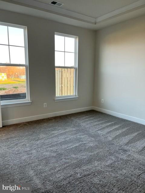 113 Smokebush DRIVE