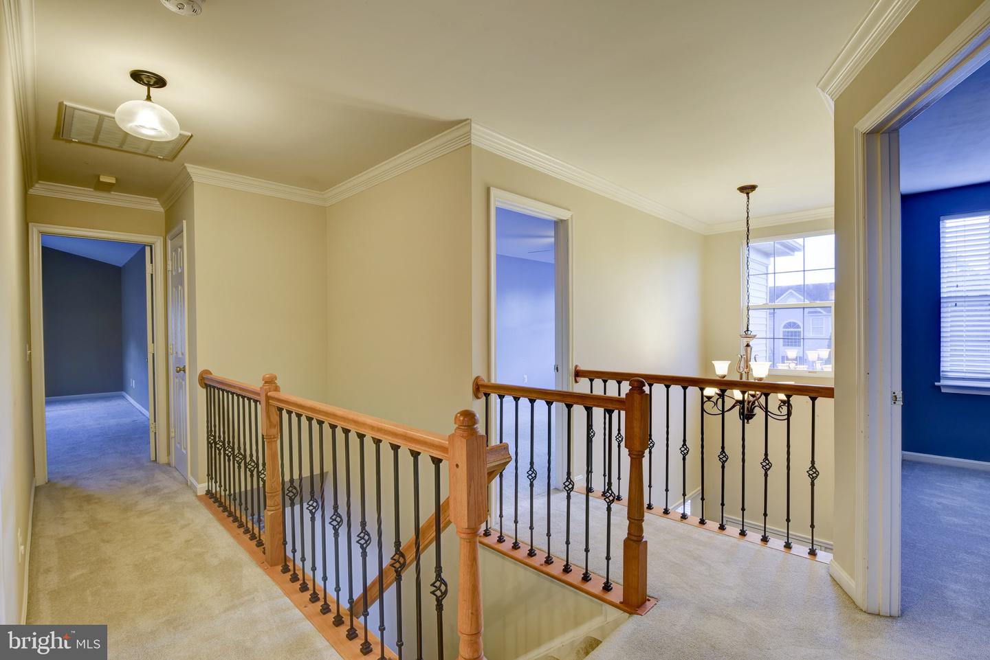 11 Warwick WAY