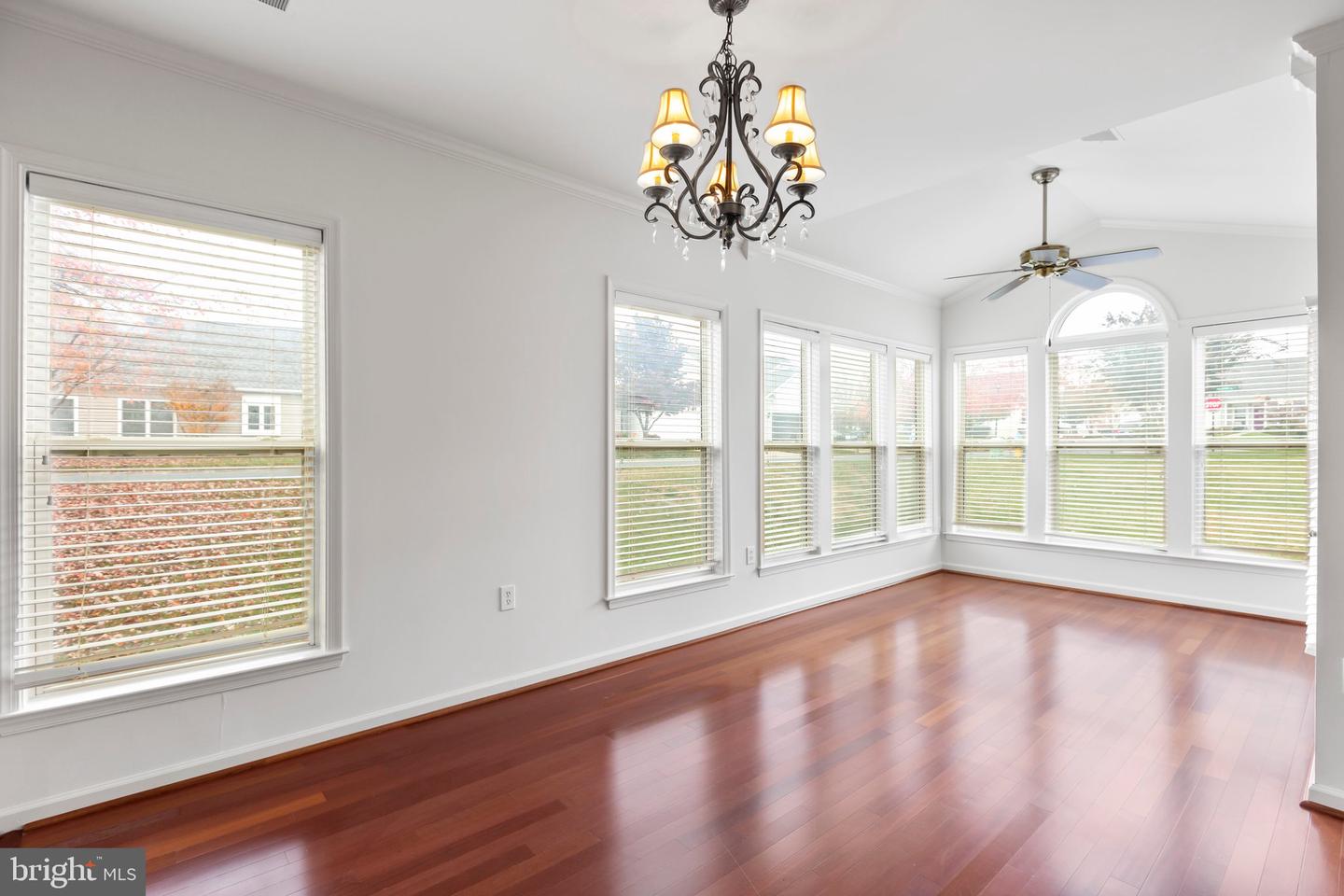 1 Buchanan DRIVE