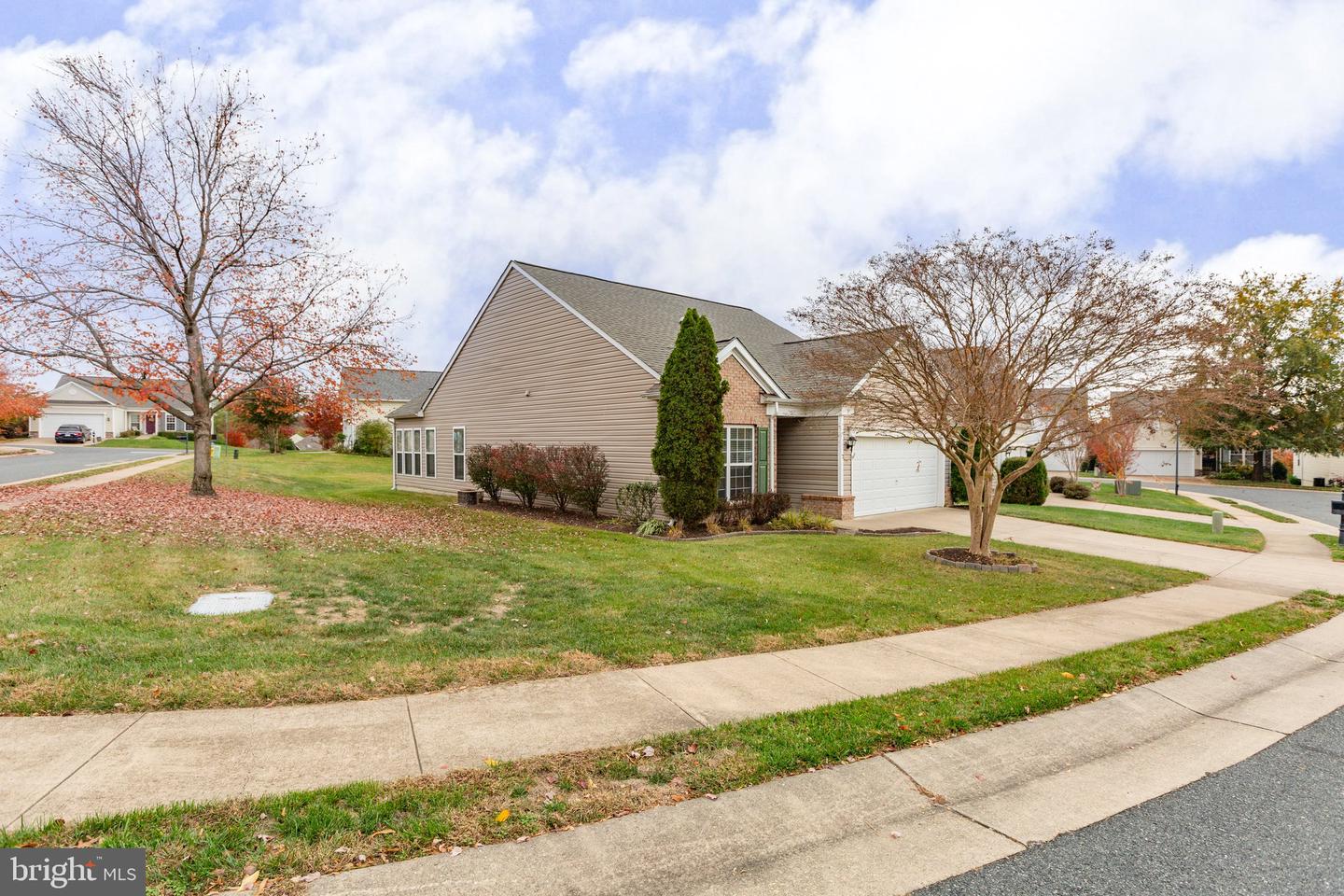 1 Buchanan DRIVE