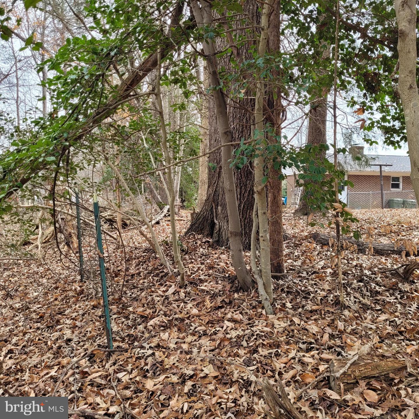 310 Greenbank ROAD