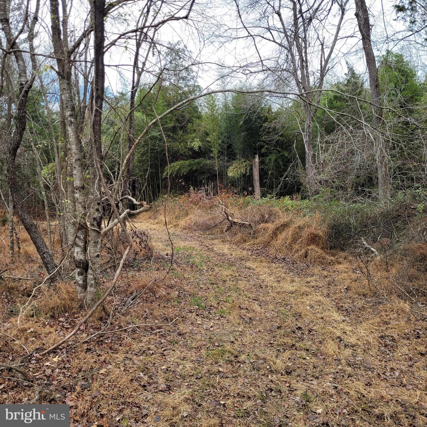 310 Greenbank ROAD
