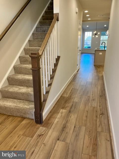 107 Smokebush DRIVE