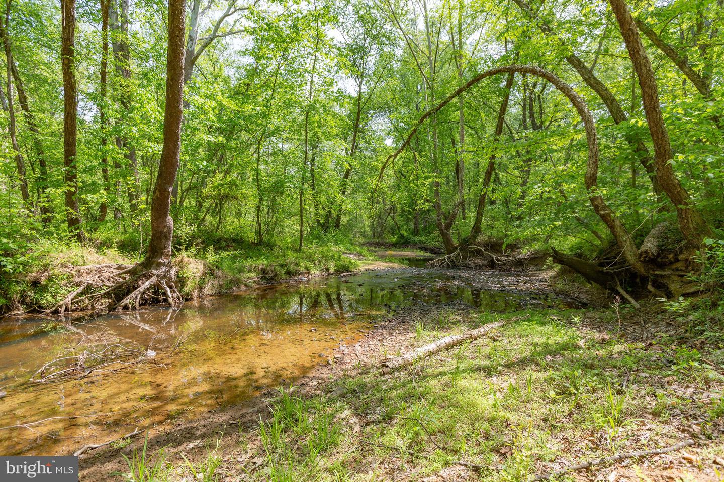 110 Mill LANE