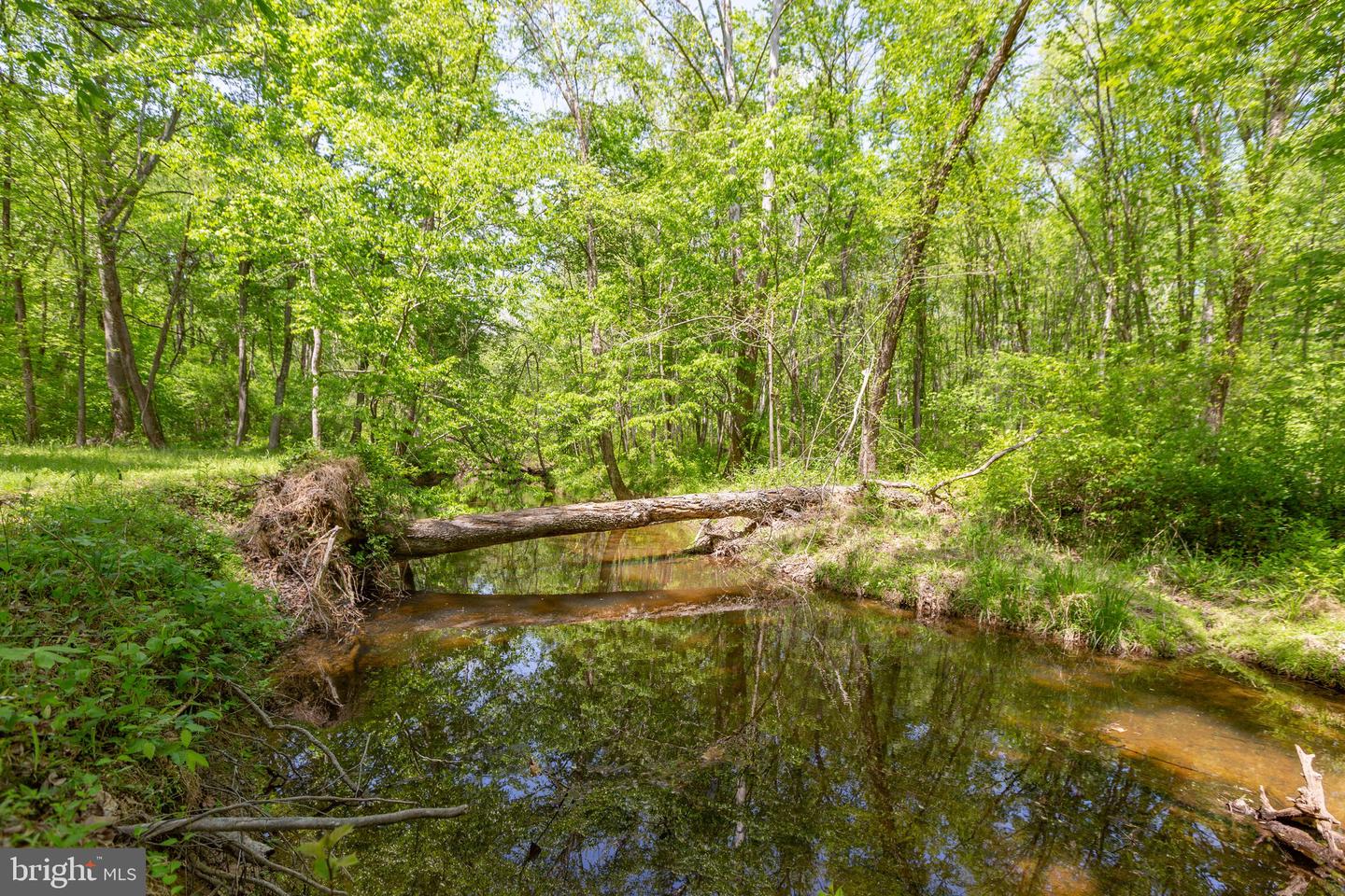 110 Mill LANE