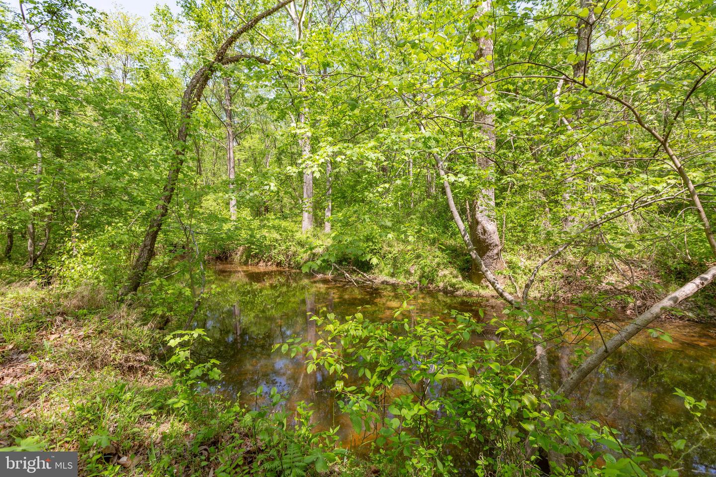 110 Mill LANE