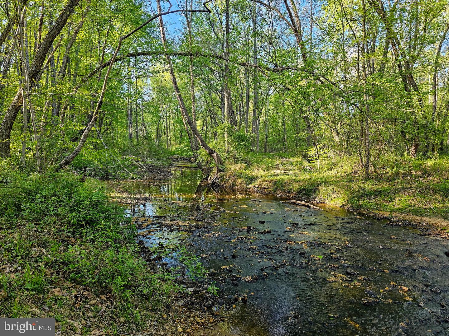 110 Mill LANE