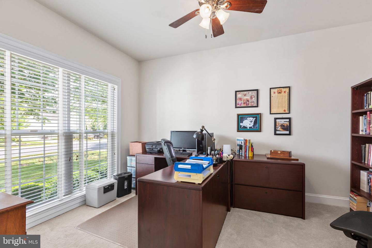 11 Hornby DRIVE