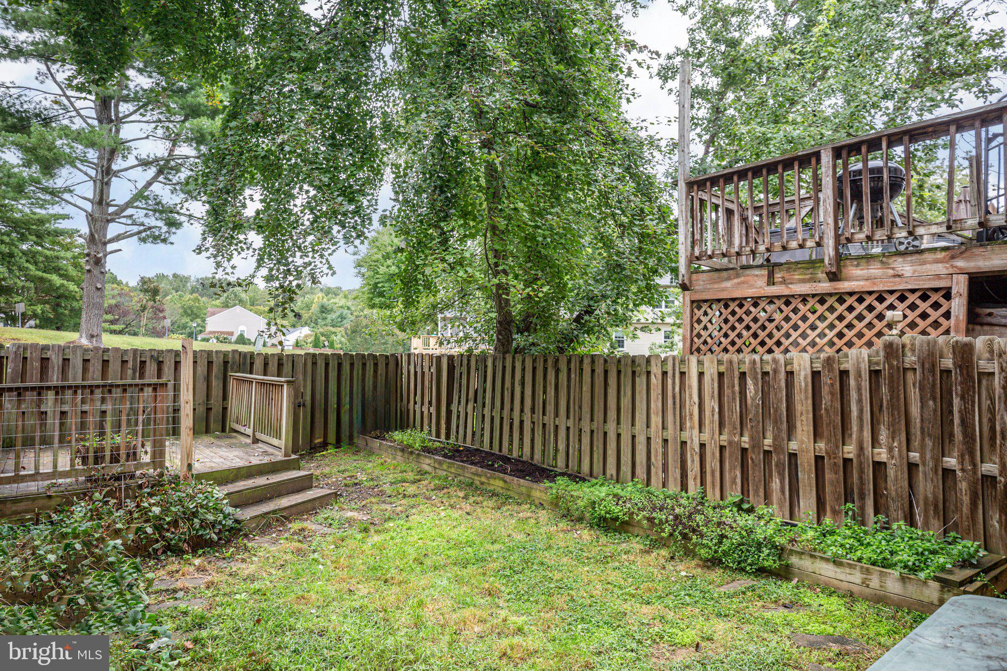204 Blueridge COURT