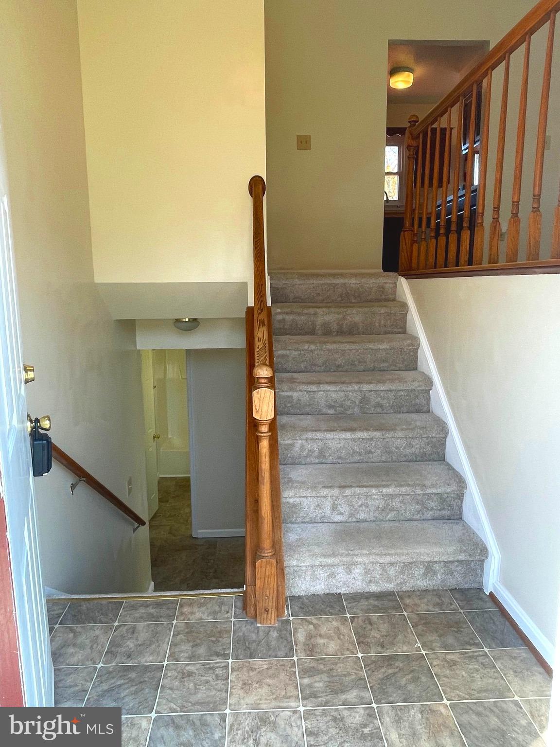 224 Choptank ROAD