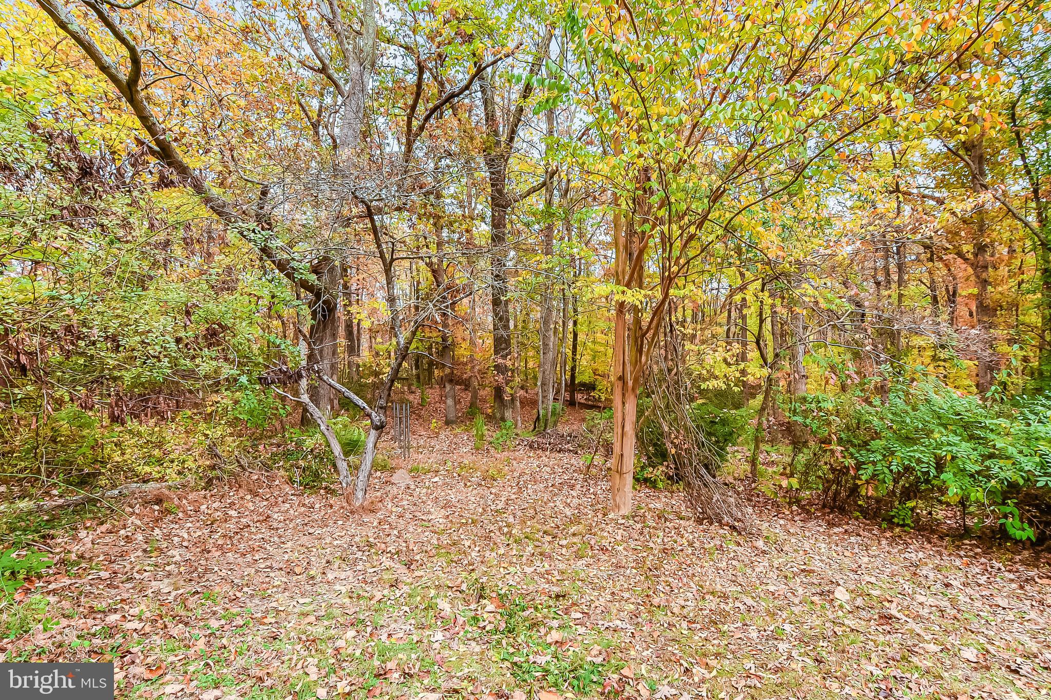 561 Ramoth Church Rd