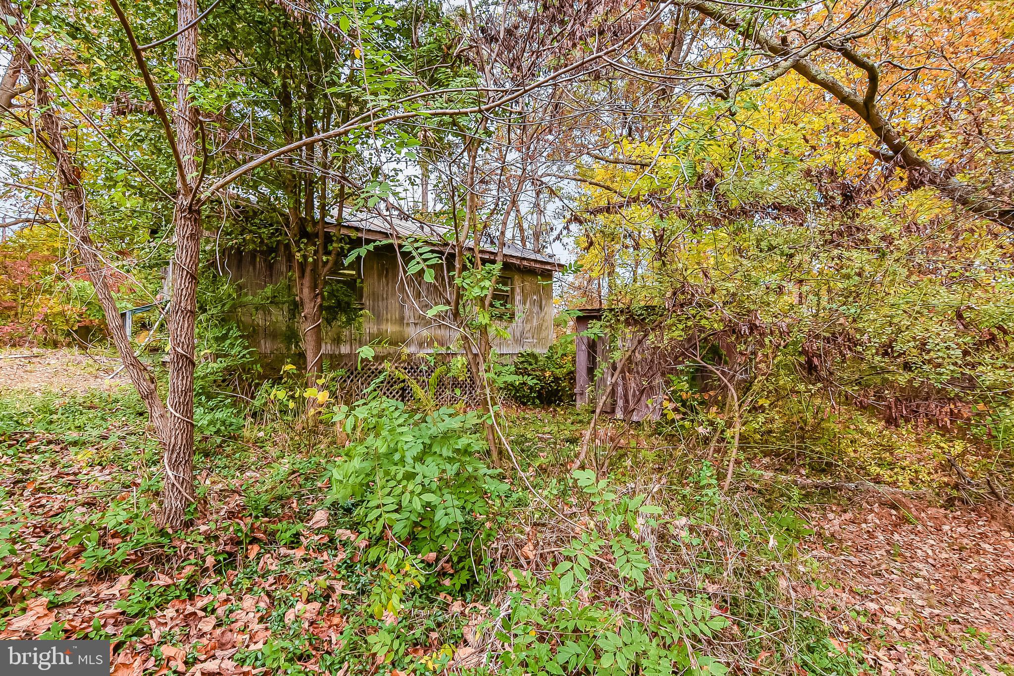 561 Ramoth Church Rd