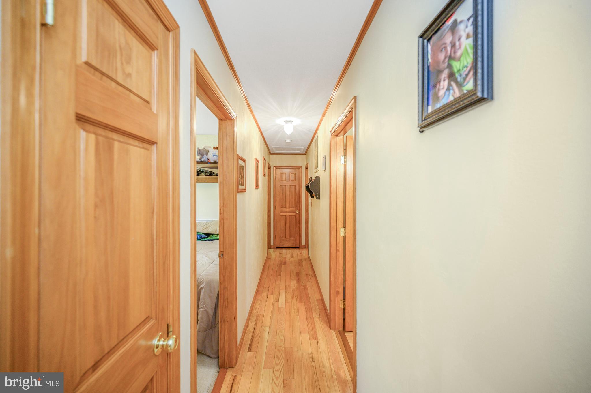 1117 Amherst Ave