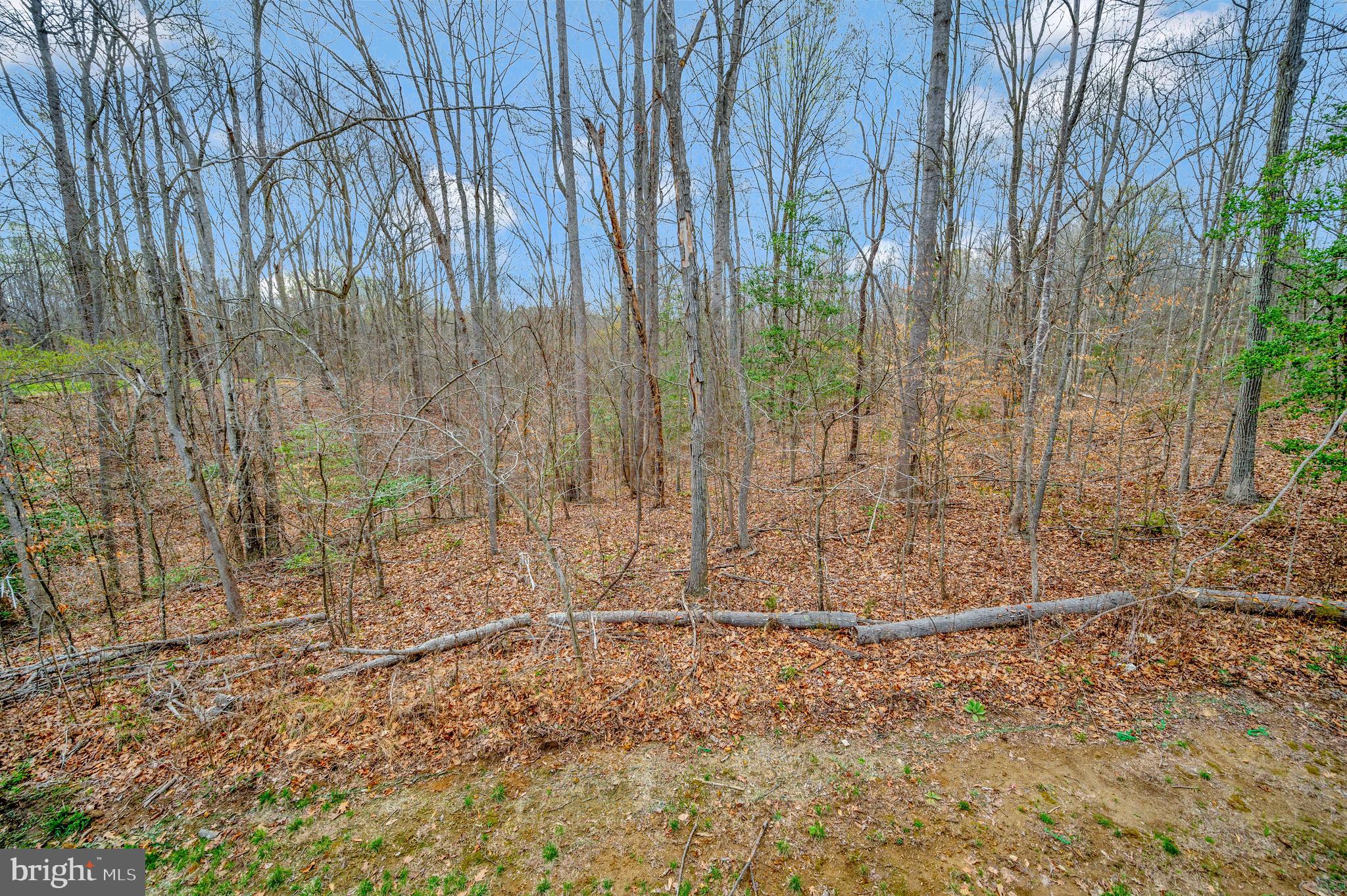 36 Pinewood Rd