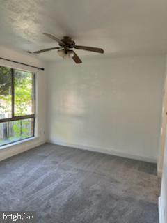 80 Chestnut Dr