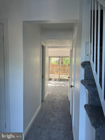 80 Chestnut Dr