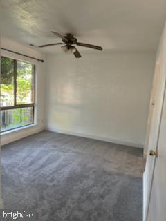 80 Chestnut Dr