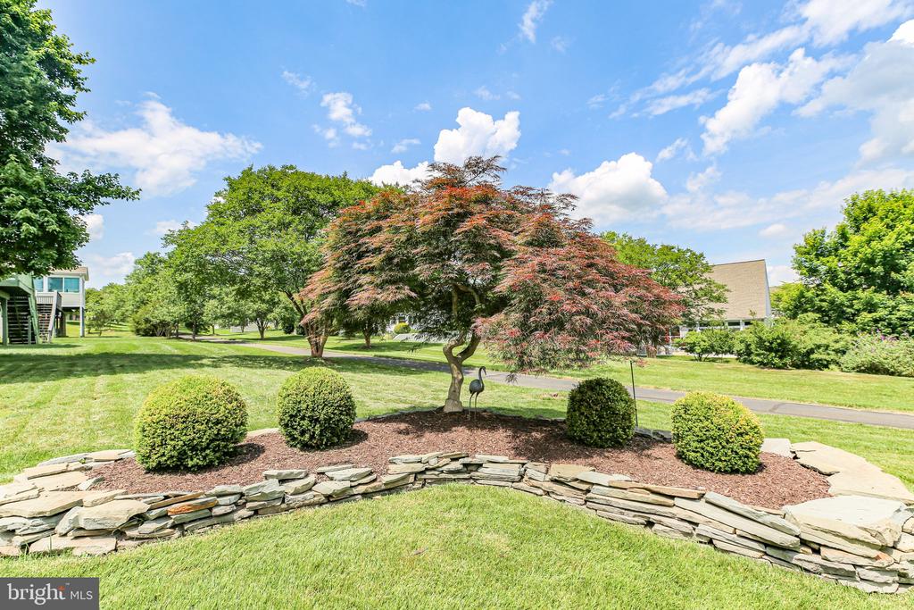 19 Ashland Cir