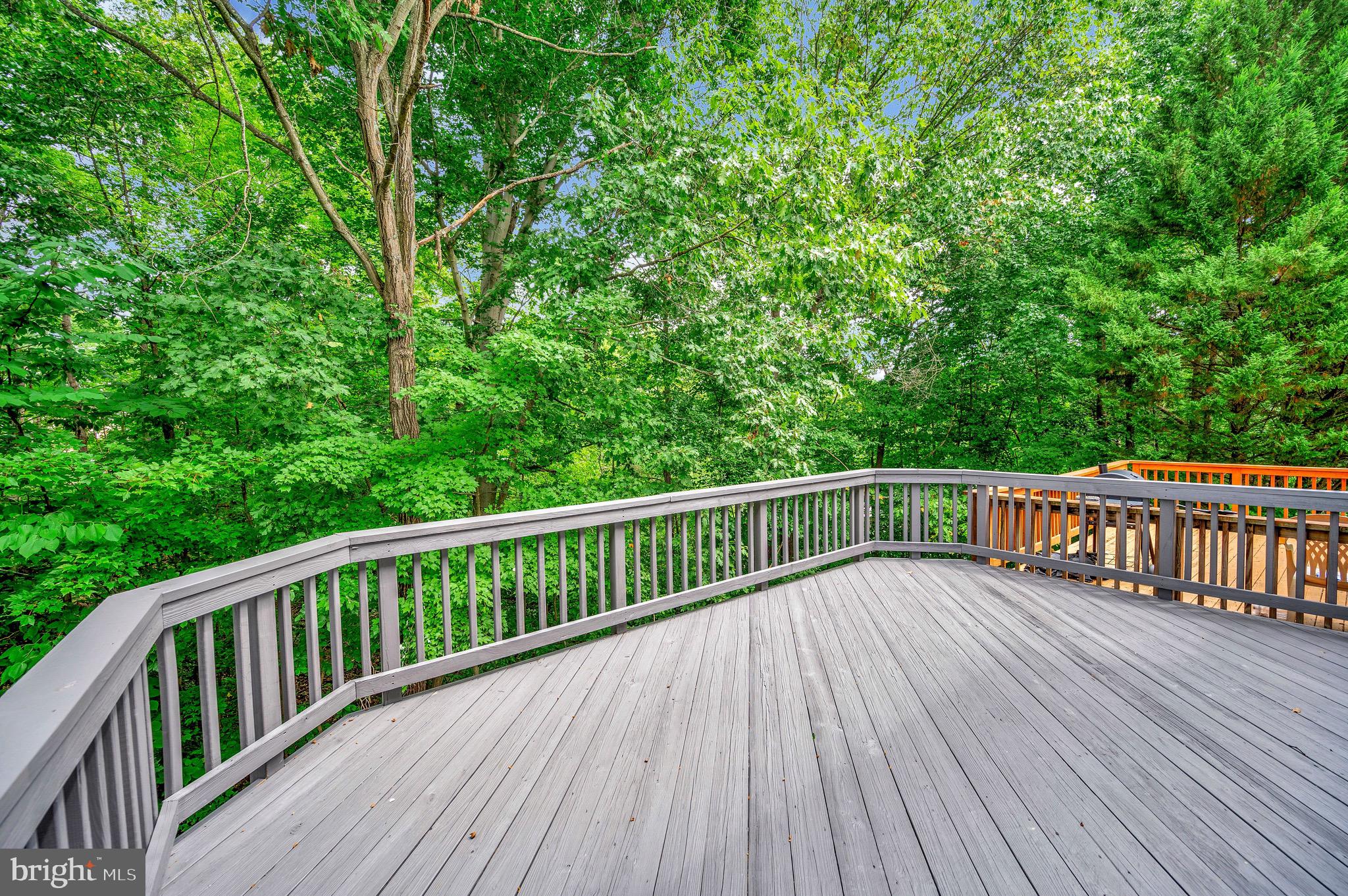 302 Castlebury Ct