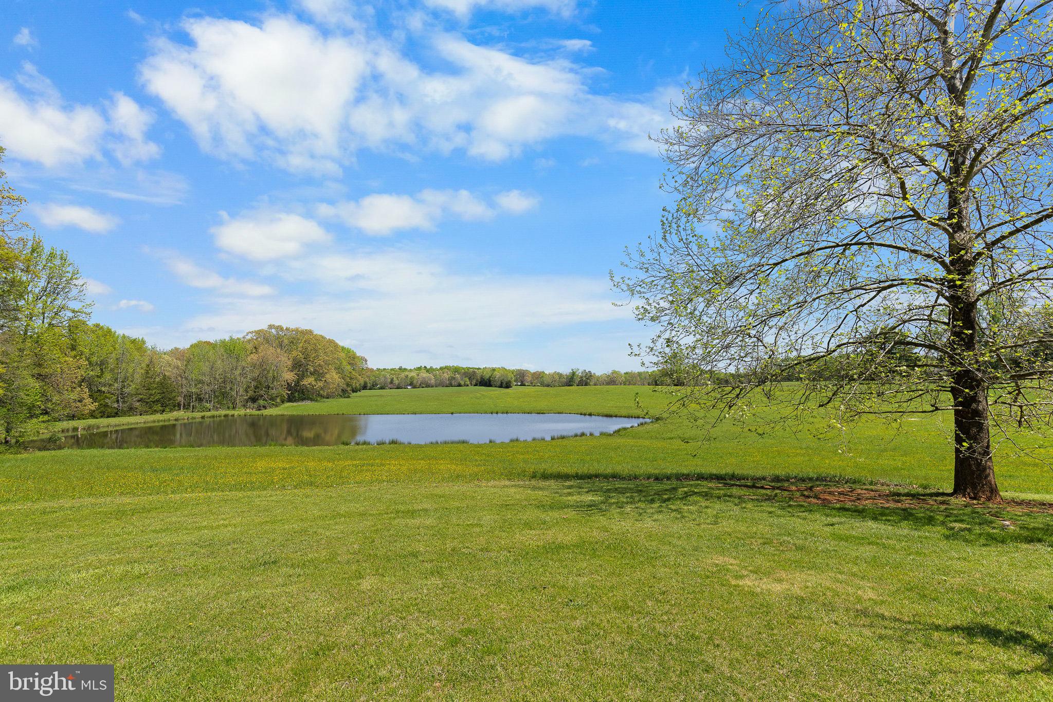 219 Kellogg Mill Rd