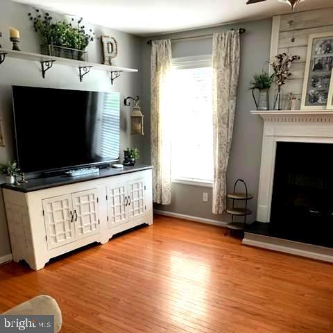 50 DOROTHY LN