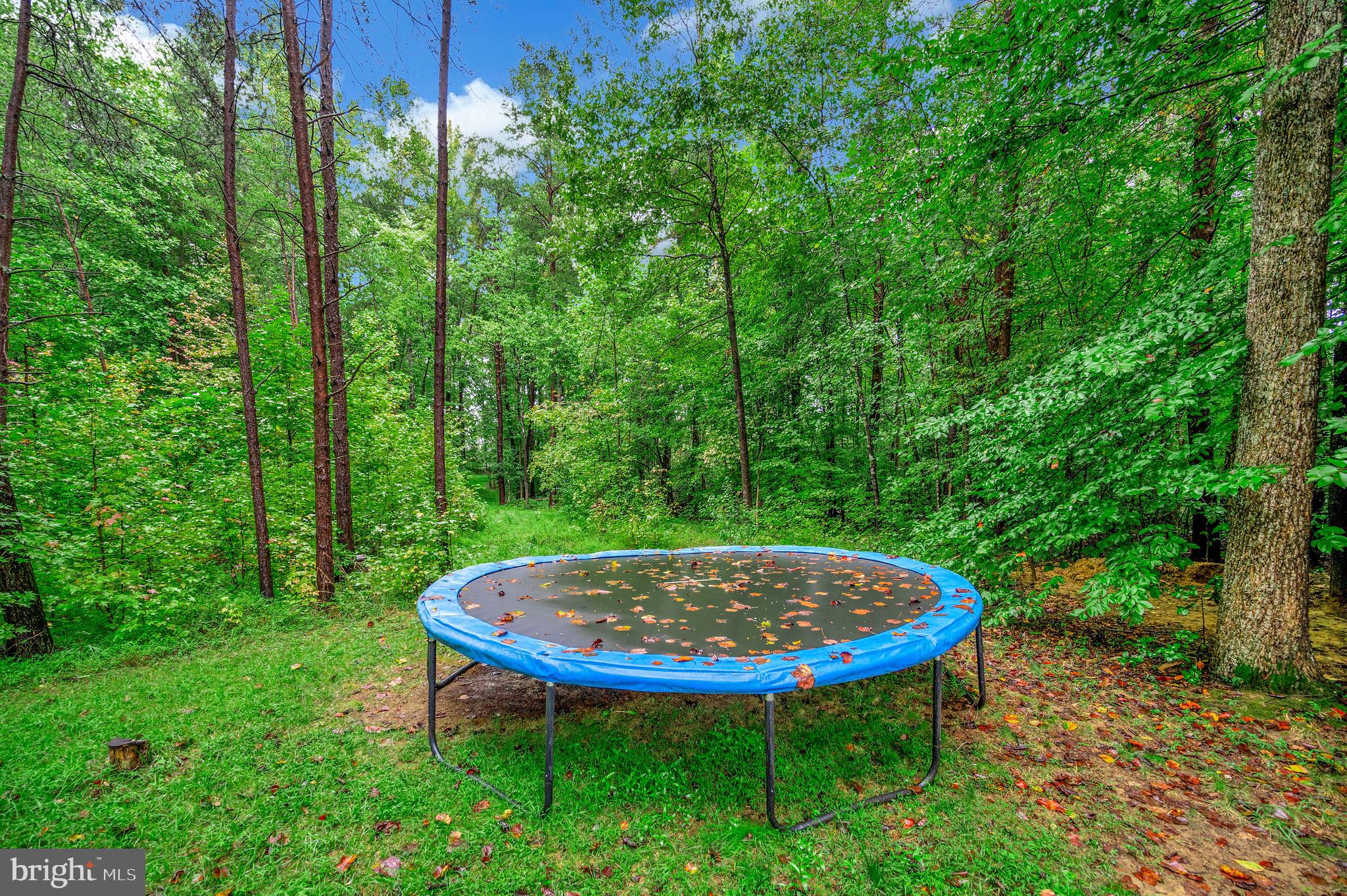 12 Saint James Ct