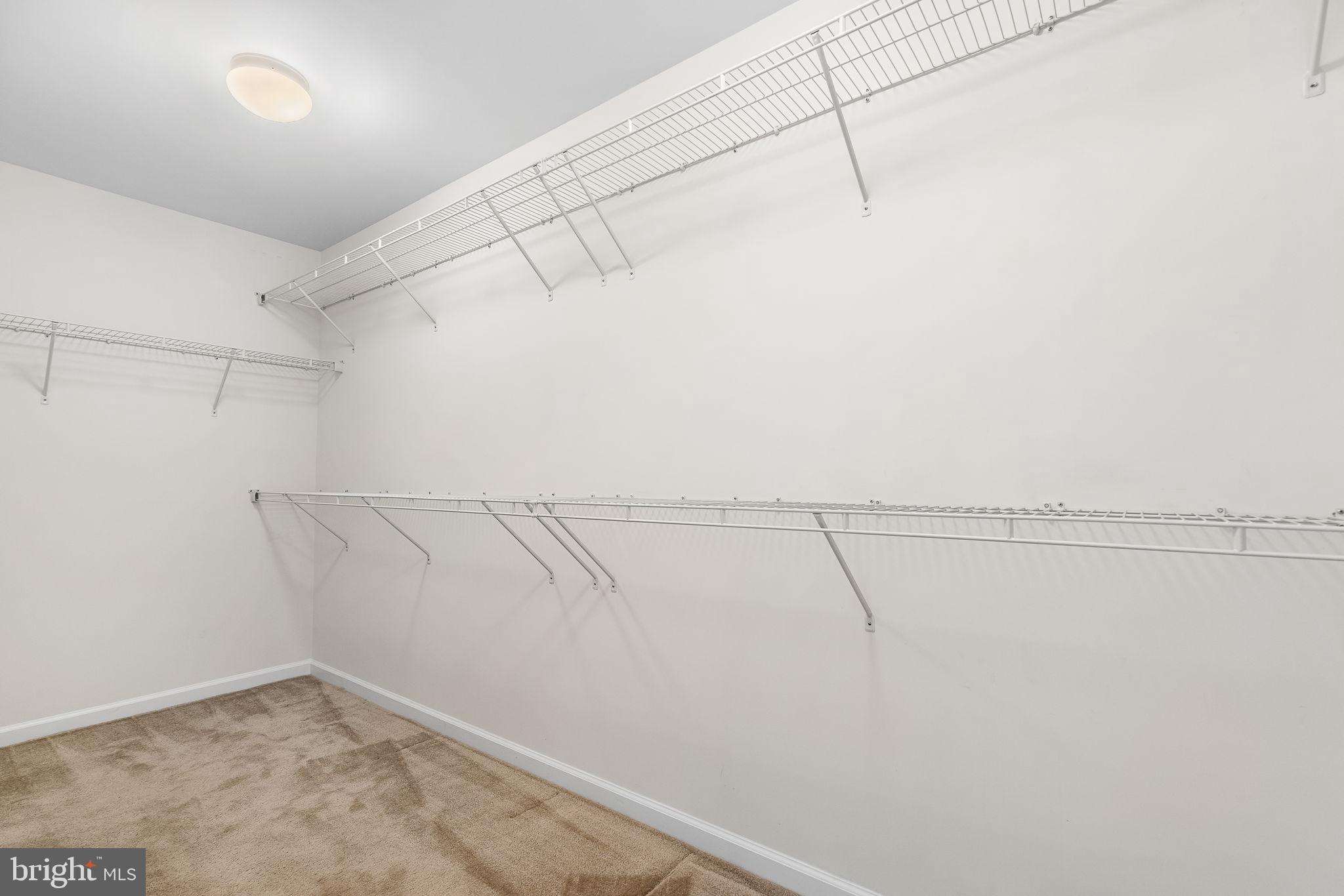 844 BASSWOOD DR