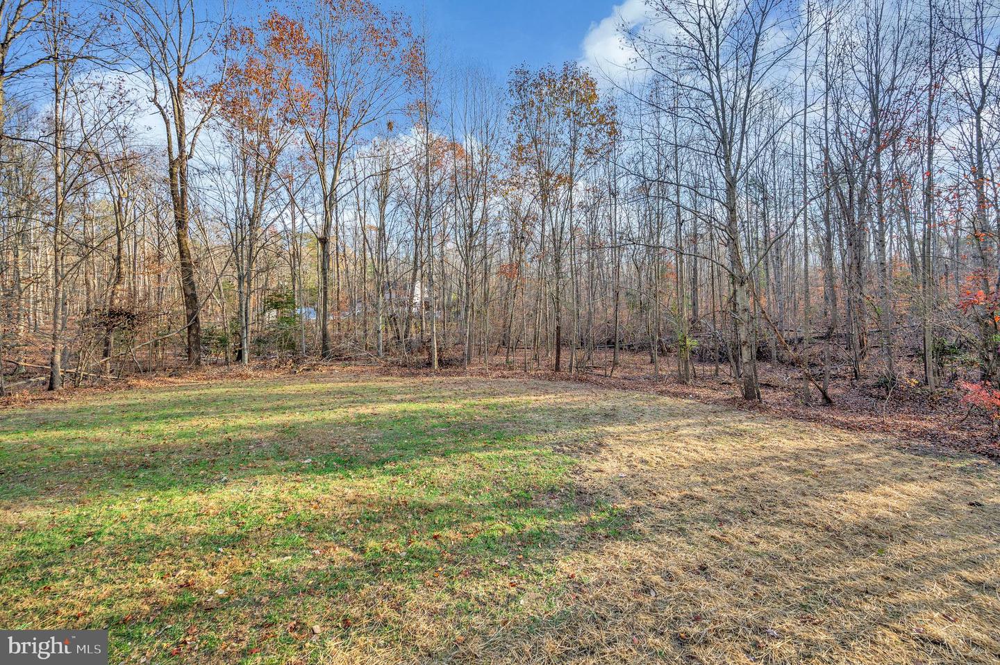 175 Meadows Rd
