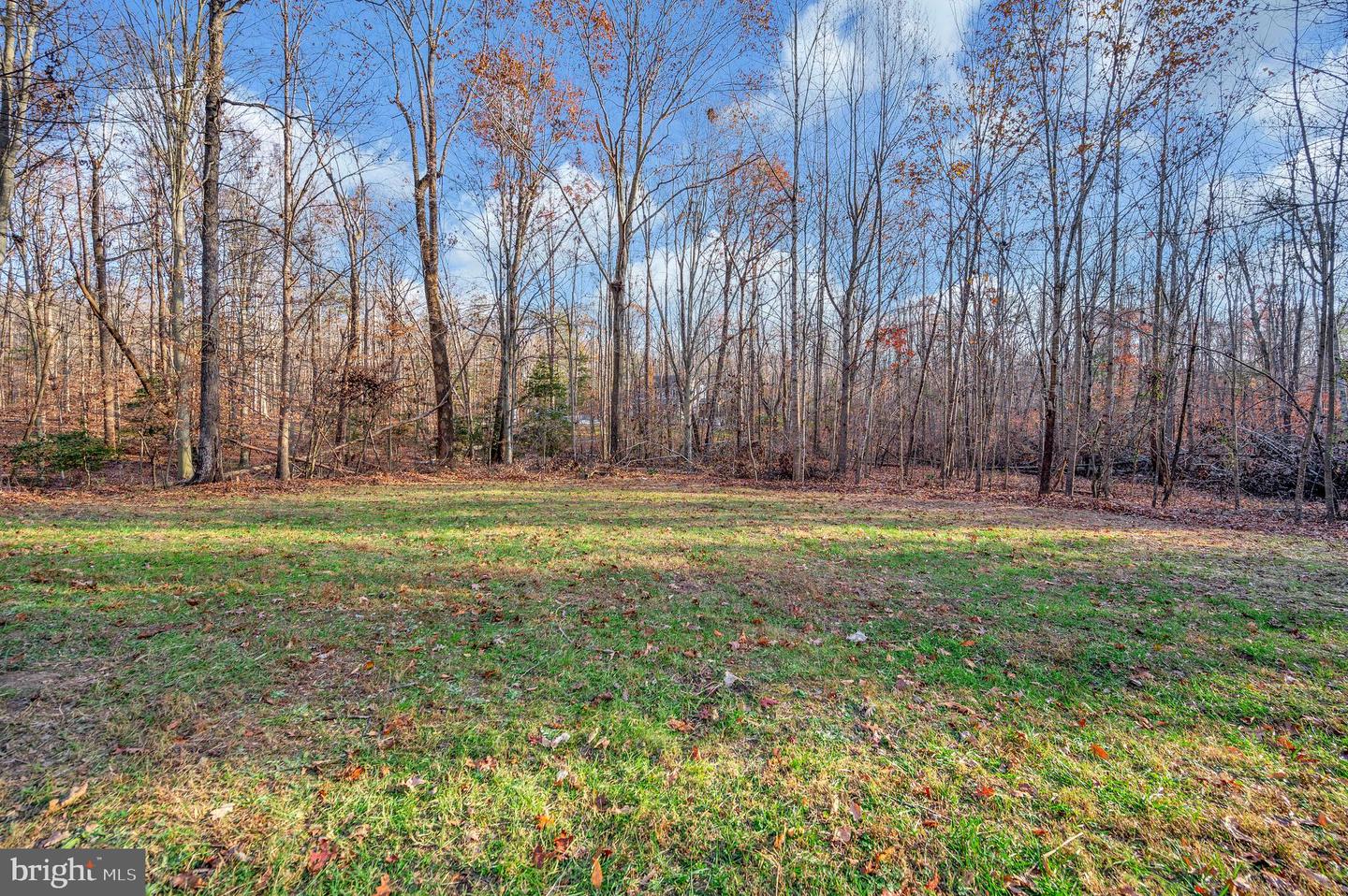 175 Meadows Rd