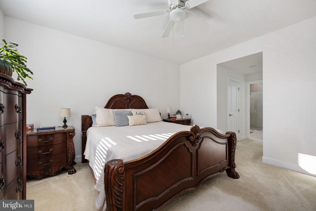 245 Smokebush Dr