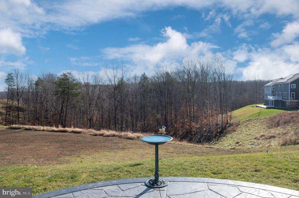 245 Smokebush Dr