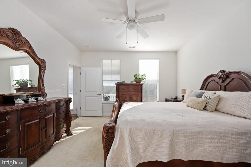 245 Smokebush Dr