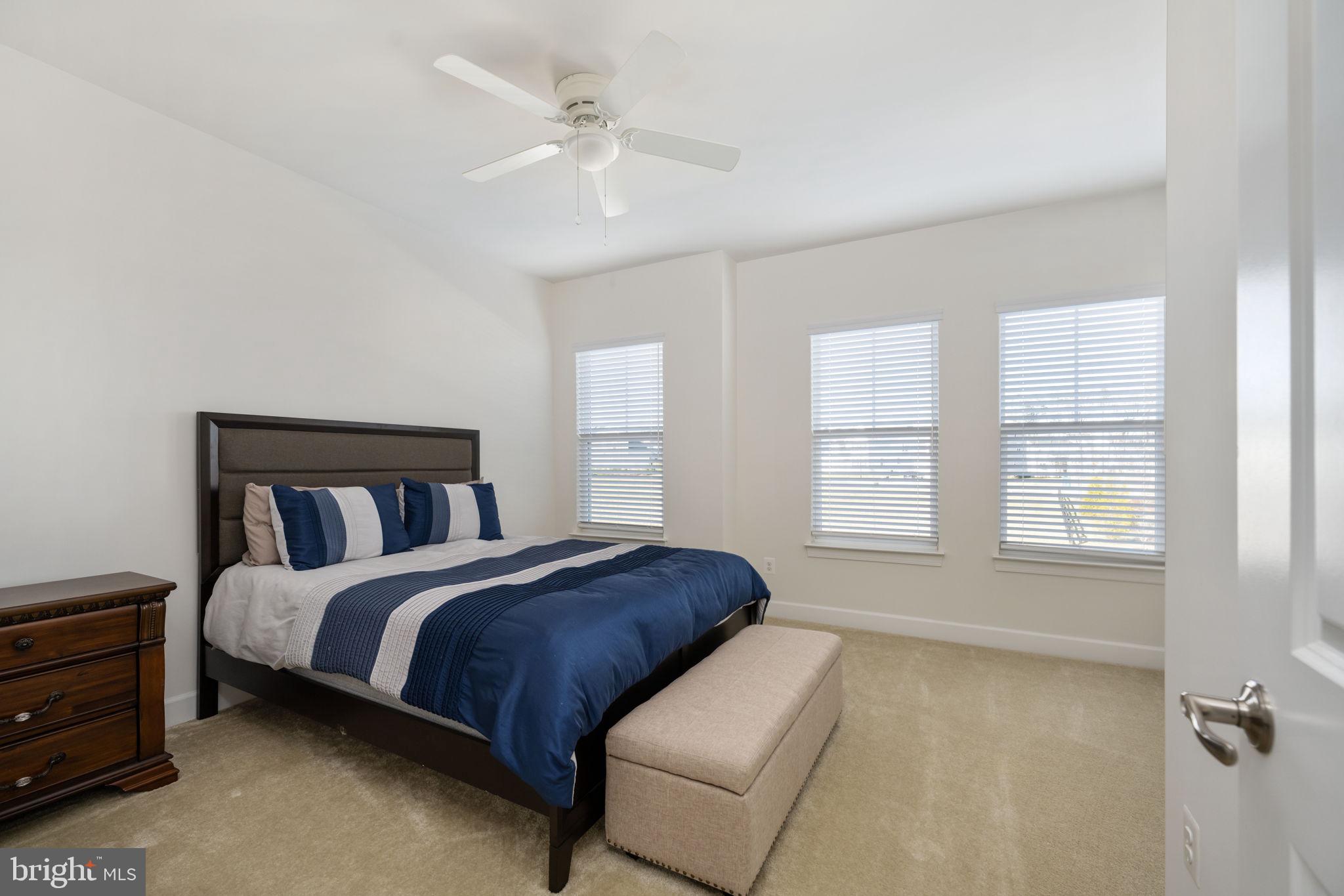 245 Smokebush Dr