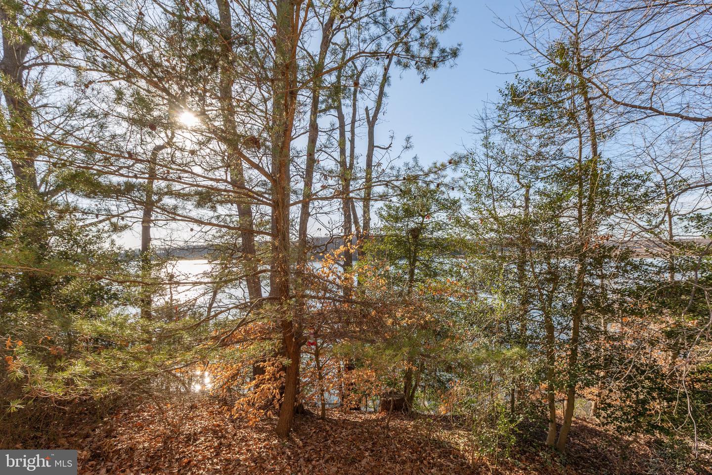 75 Betts Rd