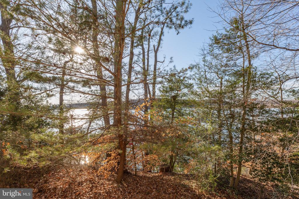 75 Betts Rd