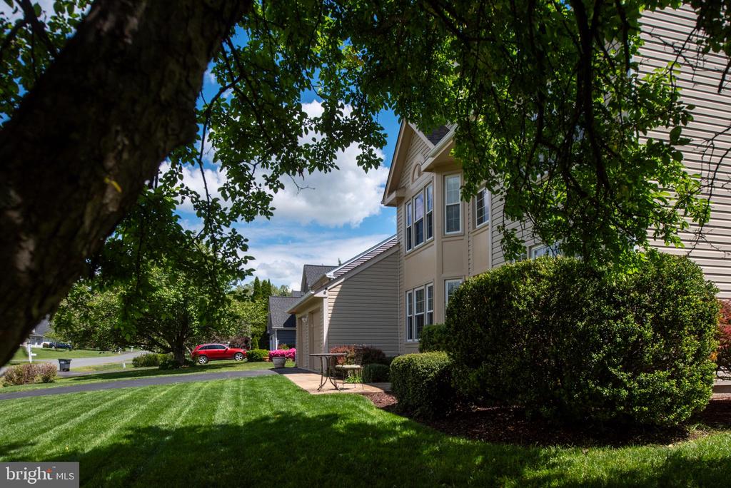 11 Ashbrook Rd