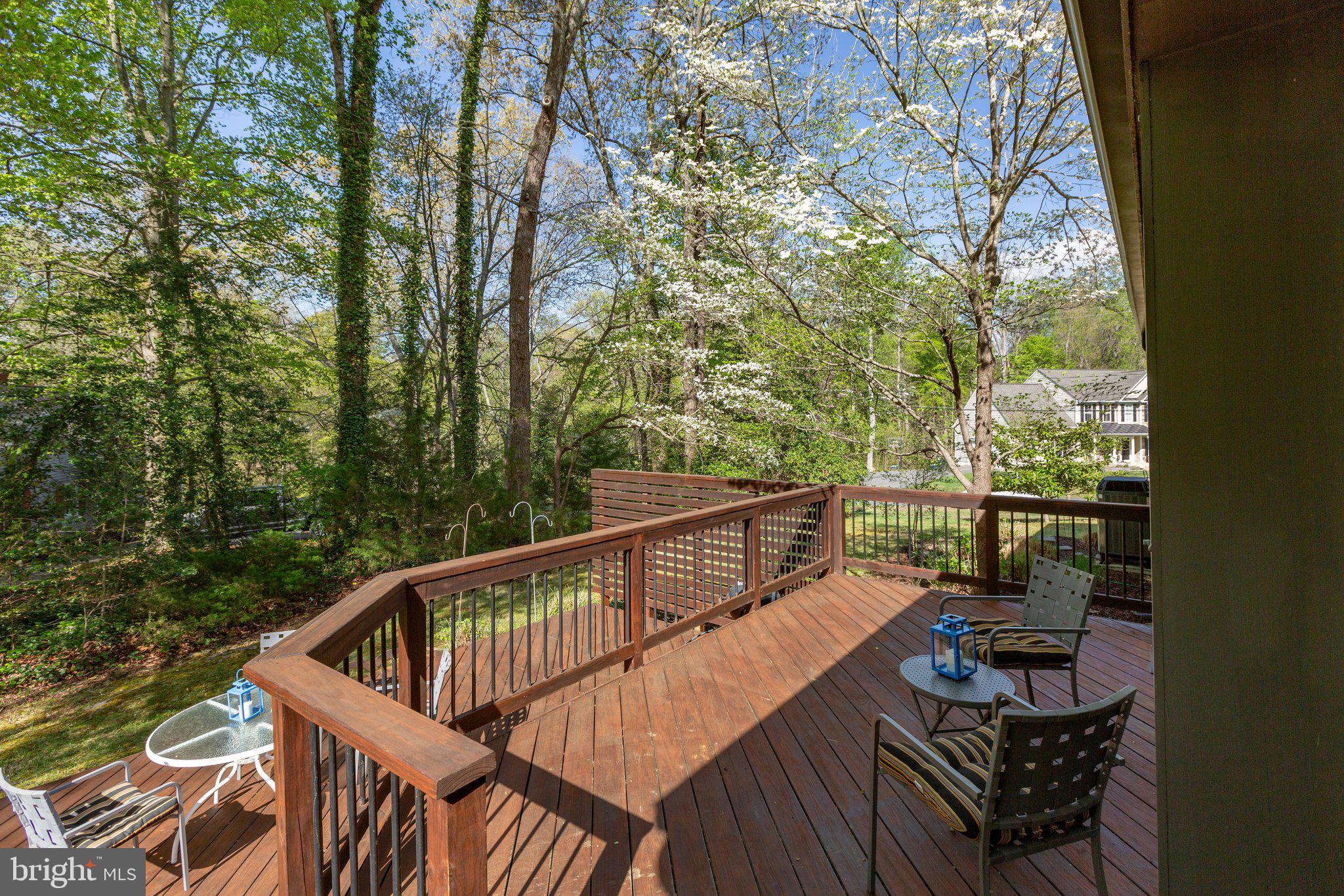 103 Lake Shore Dr