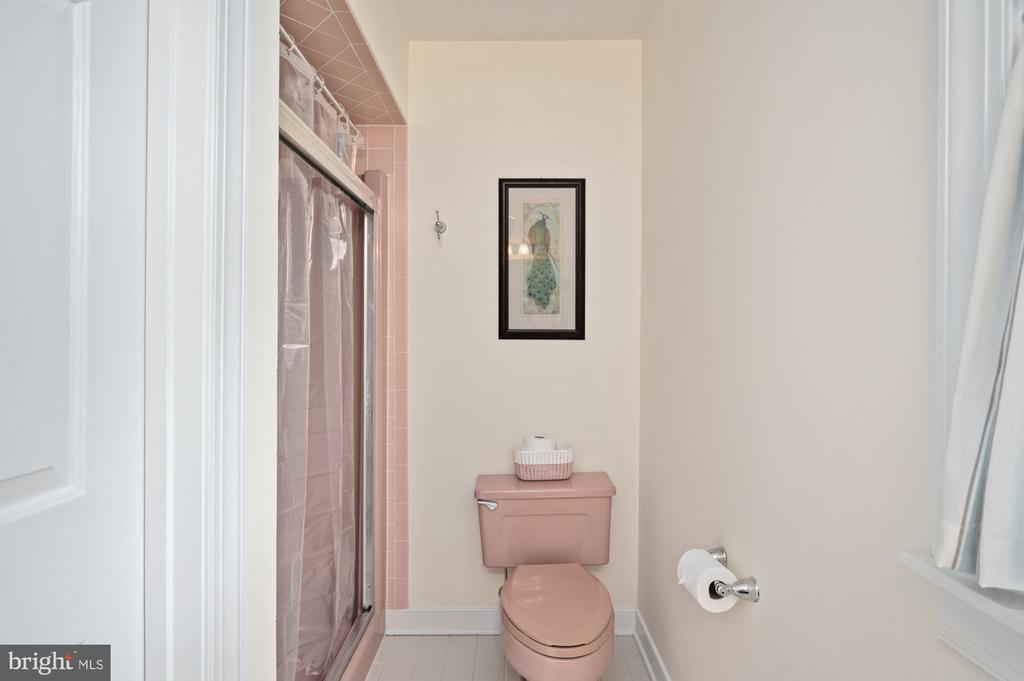 135 Cleremont Dr