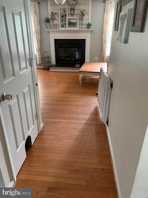 50 DOROTHY LN