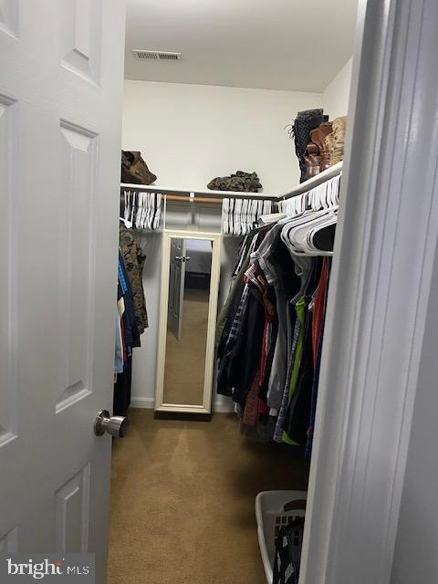 50 DOROTHY LN
