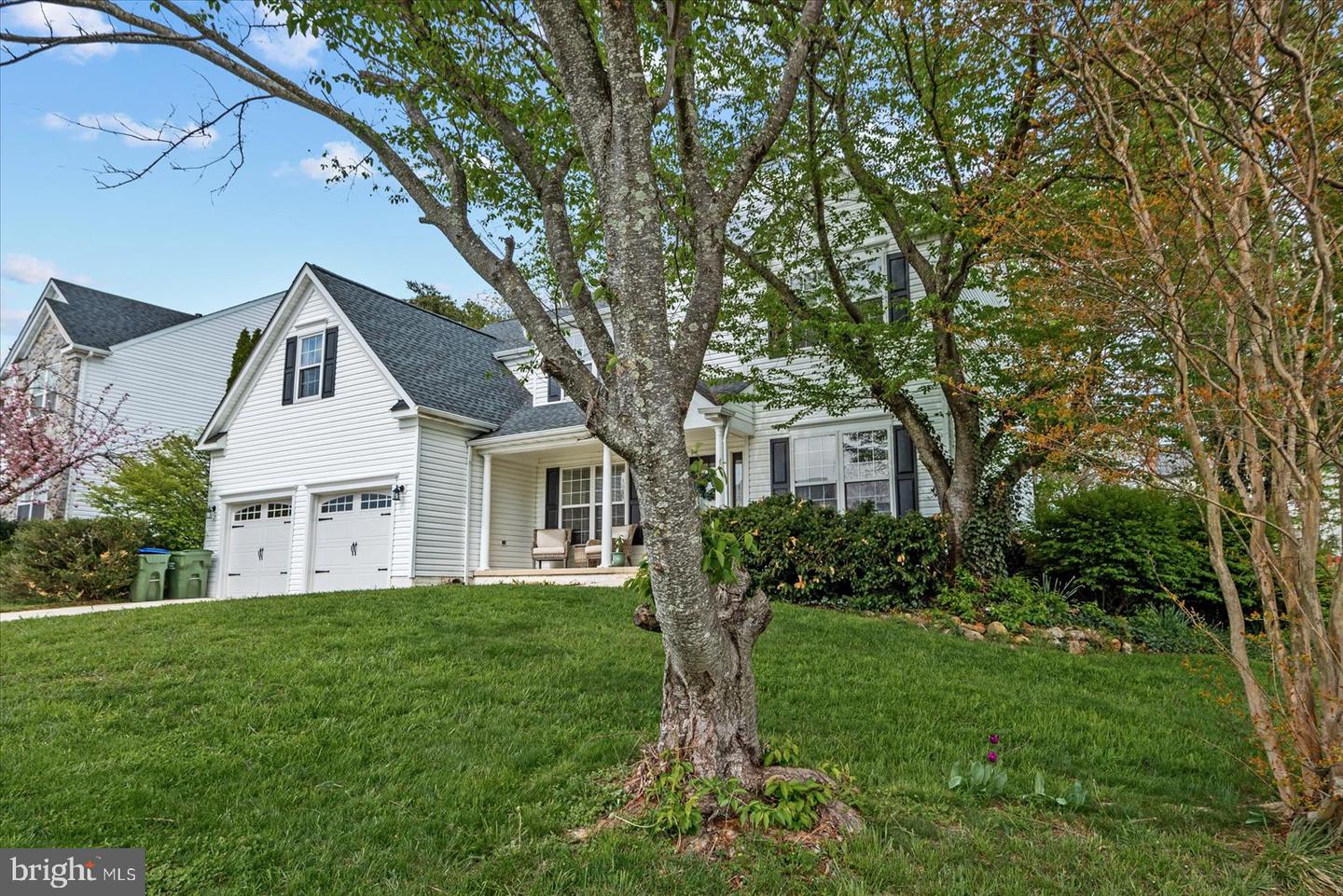 59 Northampton Blvd
