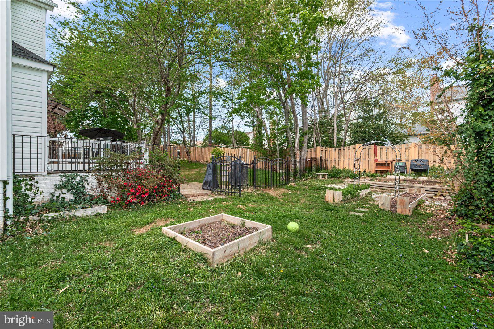 59 Northampton Blvd