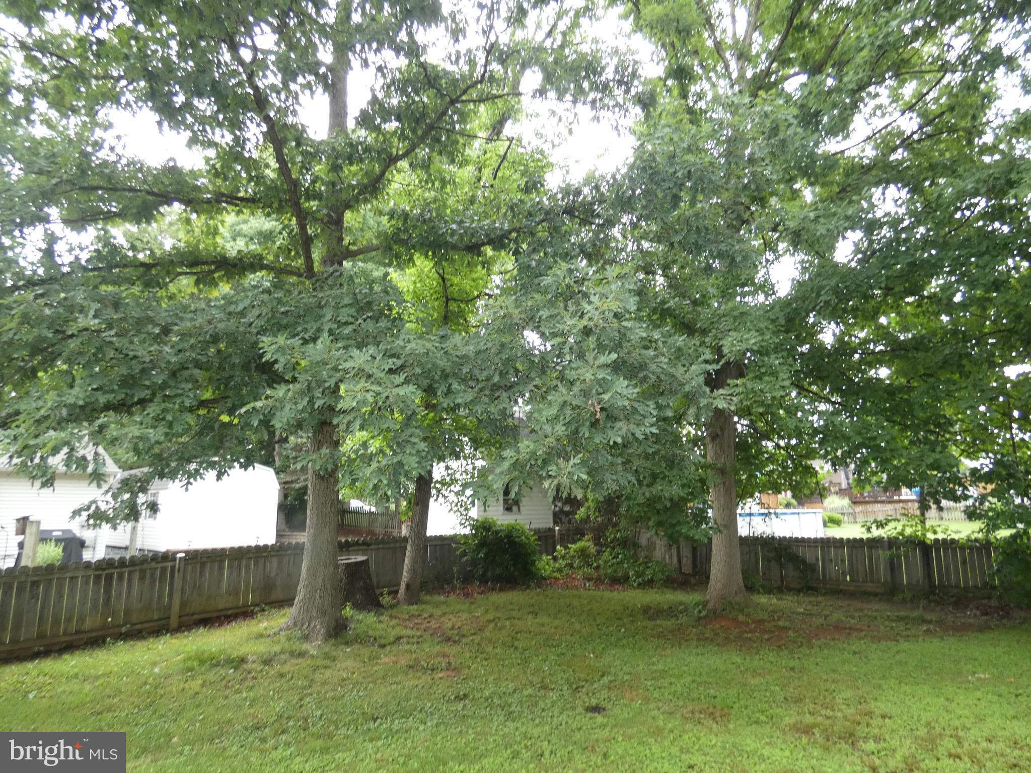 23 SAINT ALBANS BLVD