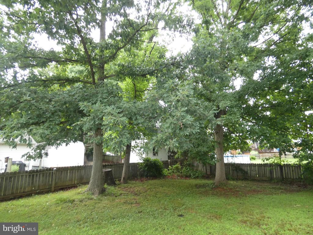 23 SAINT ALBANS BLVD